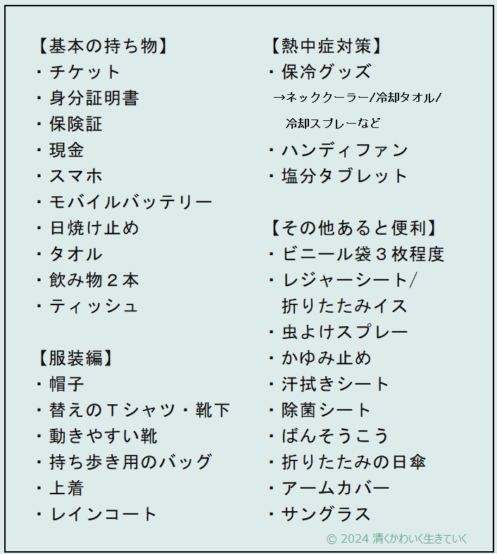 夏の野外フェスの持ち物リスト